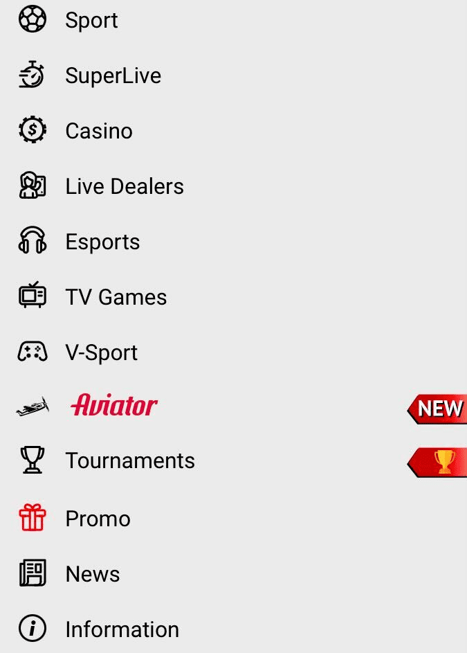 Pin Up Casino & Bet app menu after download