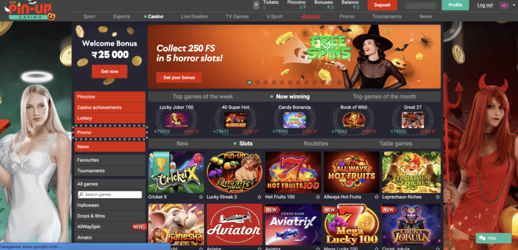 pin up casino india